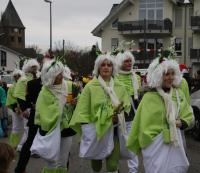 2017 – Karnevalsumzug